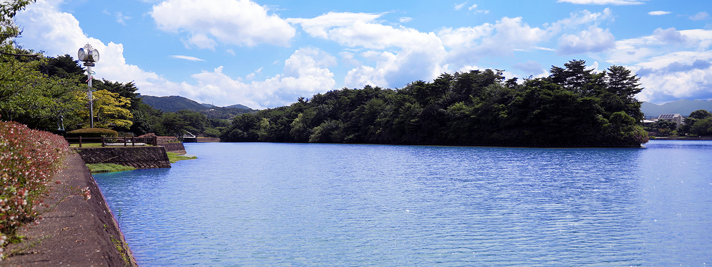 写真：白水大池公園の白水池