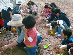 大土居　子育てひまわりサロンの写真