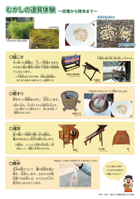 画像：むかしの道具体験（精米）