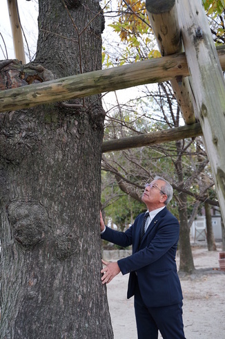 写真：春日小学校の木を診断する森さん