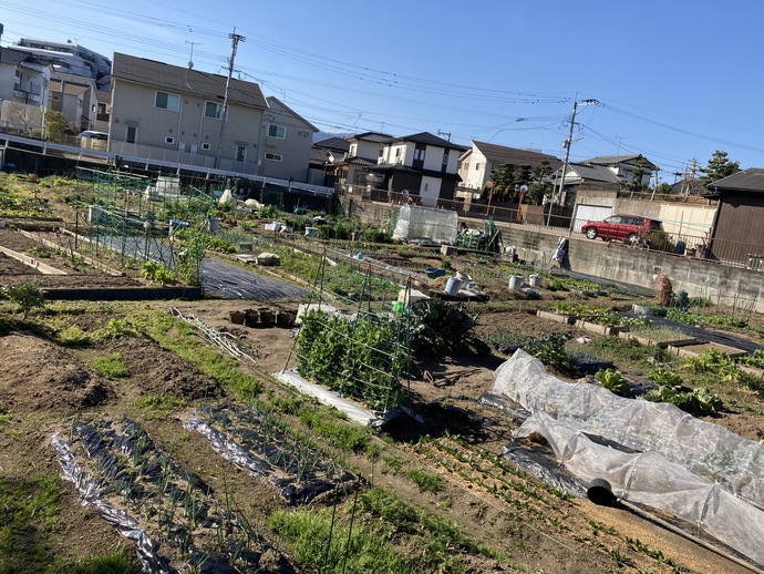 写真：市民農園「上白水10」の風景