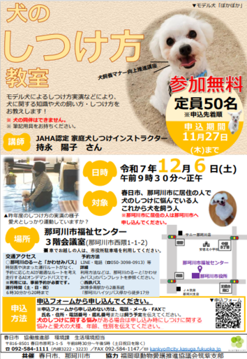 犬のしつけ方教室チラシ