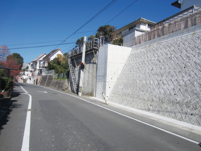 写真:アスファルトと家の立ち並ぶ街並み
