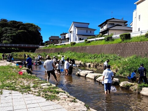 写真:川に入って観察している様子