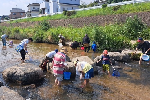 写真:川に入って観察している様子