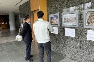 写真：パネル展視察の様子
