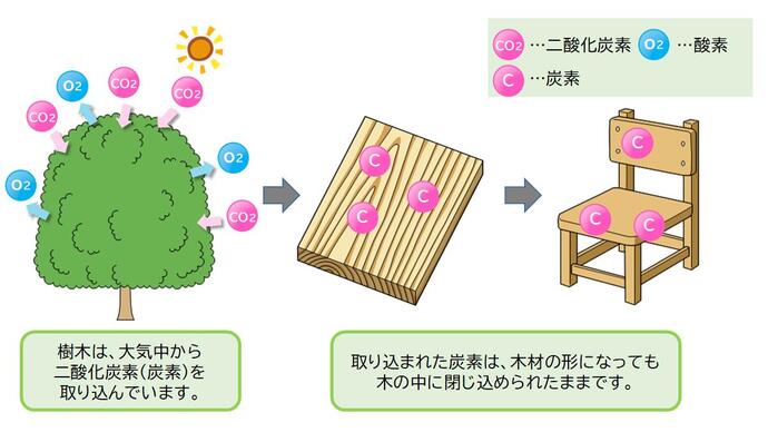 二酸化炭素の固定化