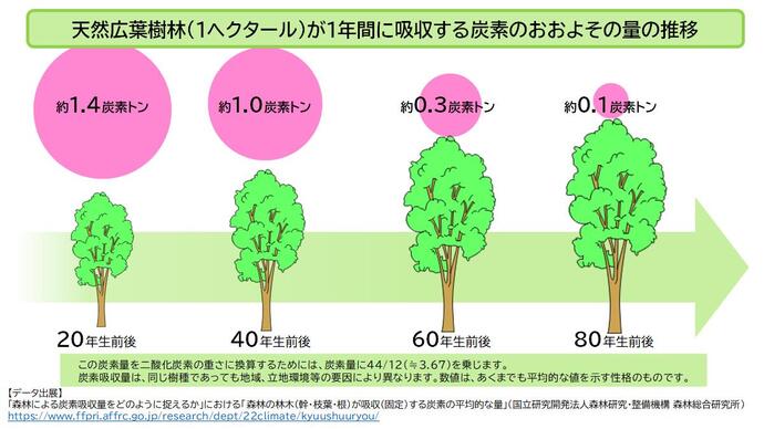 天然広葉樹林（1ヘクタール）が1年間に吸収する炭素のおおよその量の推移