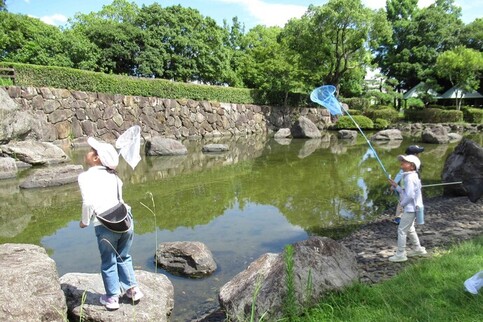 写真：虫取り網で虫を捕る子どもたち