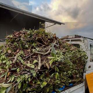 写真:庭園管理の様子