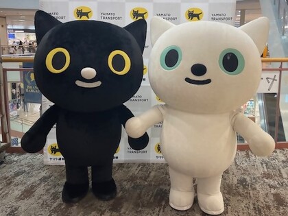 クロネコとシロネコ
