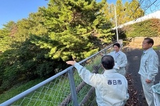 写真：大牟田池自然公園視察の様子