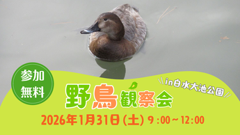 写真：野鳥観察会