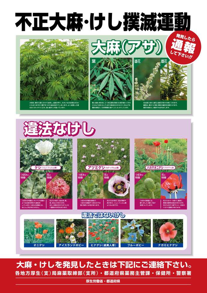 不正大麻・けし撲滅運動ポスター